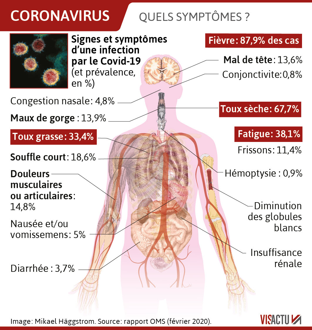 voici-les-principaux-symptomes-du-covid-19-infographie-visactu-1583936604